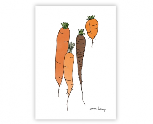 lacarteriedemma-lidbury-carte-Illustration-carottes-orange lacarteriedemma-lidbury-carte-Illustration-carottes-orange