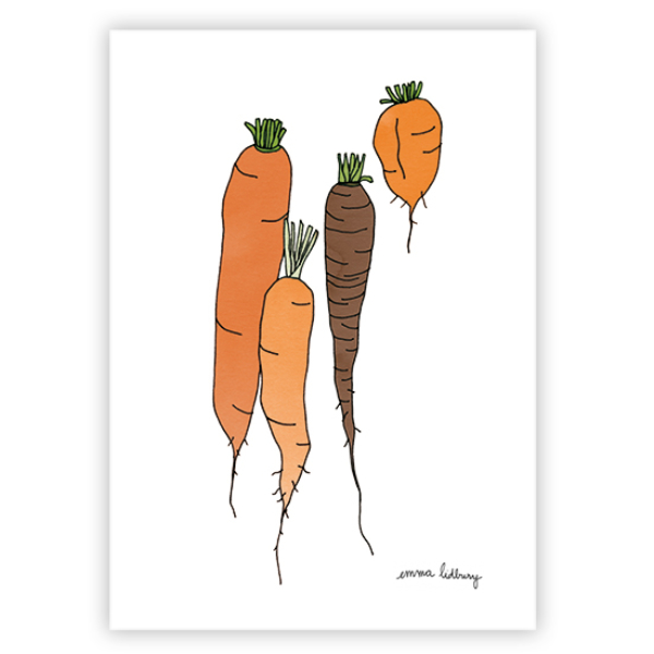 lacarteriedemma-lidbury-carte-Illustration-carottes-orange