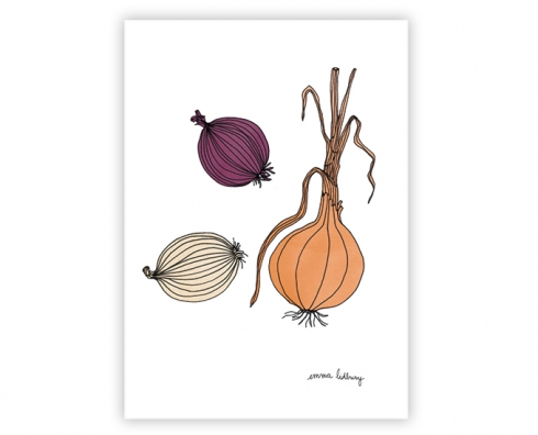 lacarteriedemma-lidbury-carte-Illustration-oignons lacarteriedemma-lidbury-carte-Illustration-oignons