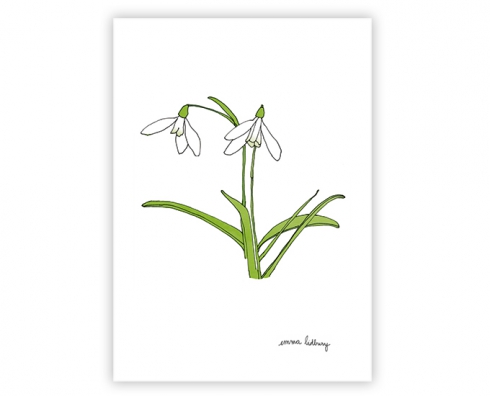 lacarteriedemma-lidbury-carte-Illustration-perce-neige-blanc-fleur lacarteriedemma-lidbury-carte-Illustration-perce-neige-blanc-fleur