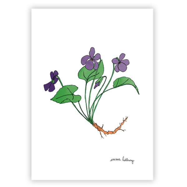 lacarteriedemma-lidbury-carte-Illustration-violette-fleurs