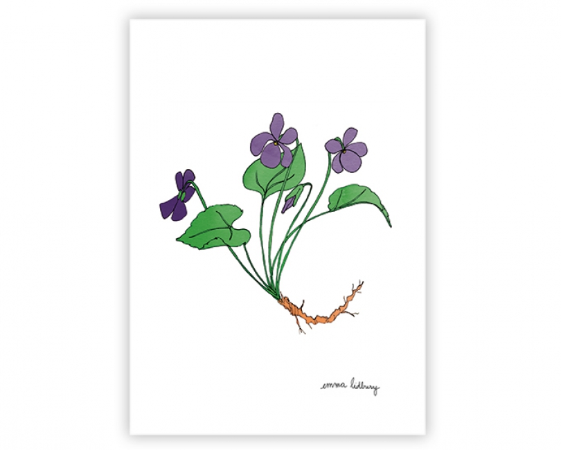 lacarteriedemma-lidbury-carte-Illustration-violette-fleurs